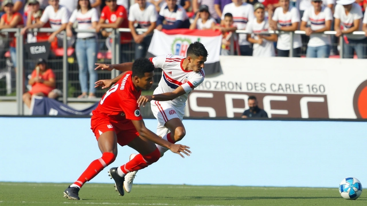 Jogadores de Destaque