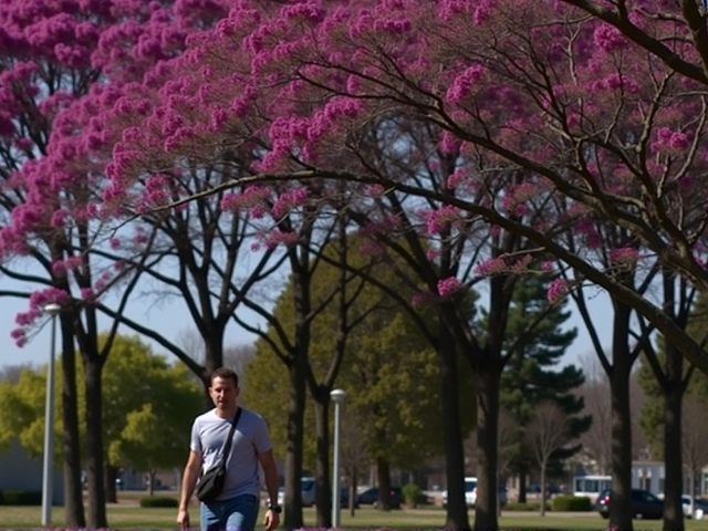 Primavera de 2024 Começa com Ondas de Calor e Retorno das Chuvas Regulares, Aponta Climatempo